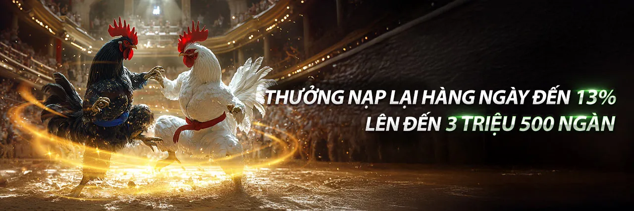 Hướng dẫn sử dụng mã vf88