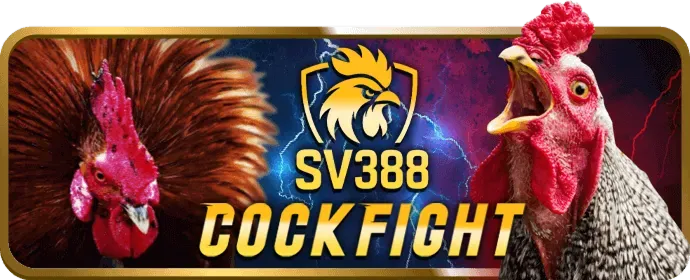 Đường dây nóng hỗ trợ khách hàng của vf88 code